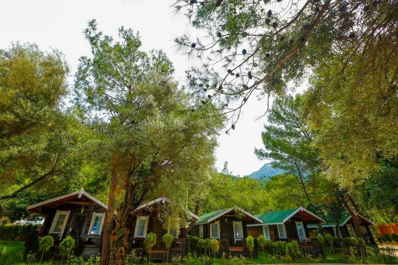 Green Pine Beach & Bungallows Hisaronu Hotel
